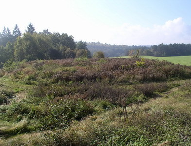 01-Skládka Bukovany-foto